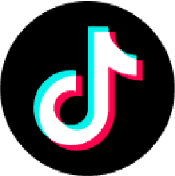 tiktok logo